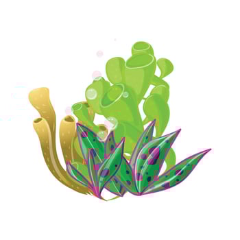 Vector coral reefs and seaweed cartoon illustration on white