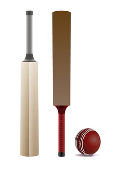 Cricket Bats and Ball Isolated on White Illustration vector