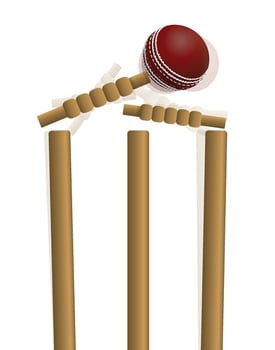 Cricket Ball Hitting the Wicket Illustration vector
