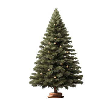christmas tree isolated on transparent background png