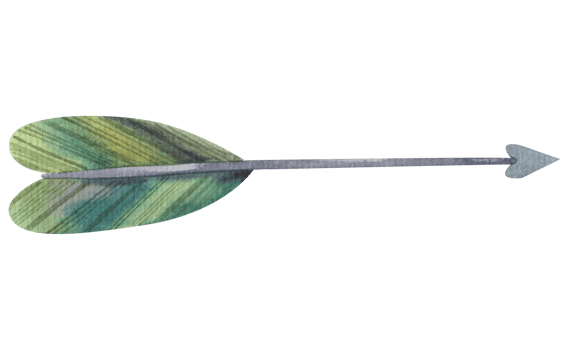 hand painted watercolor boho arrows. Botanical arrangement. and feather png