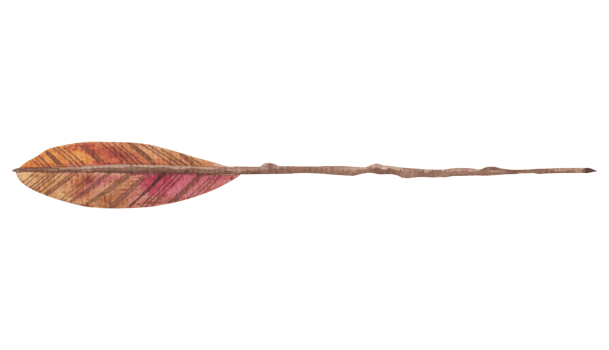 hand painted watercolor boho arrows. Botanical arrangement. and feather png