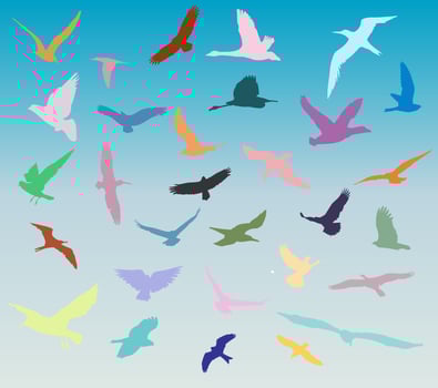 Group Of Birds Flying In The Sky vector