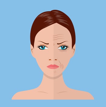 Face of young woman and old woman with wrinkles. Facial aging before and after vector
