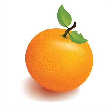 Juicy orange with green leaves isolated on white background. whole oranges look 3d realistic. Valid for fruit juice ads. Vector illustration.