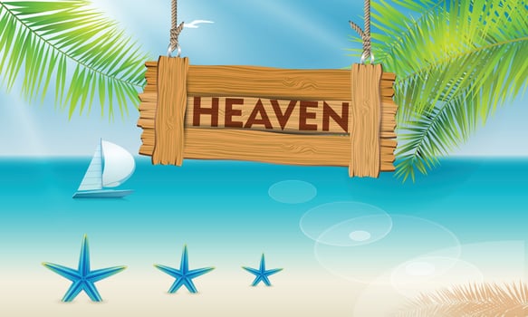 paradise tropical beach vector