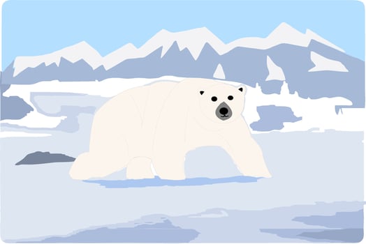 Cartoon white ice bear with iceberg view. Vector illustration of Cartoon Bear