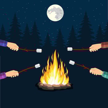 Bonfire with marshmallow, stone, vector