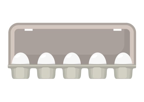 egg box with white fresh chicken eggs. vector