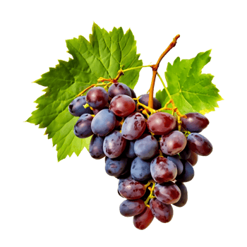 AI generated Red grapes isolated on a transparent background png