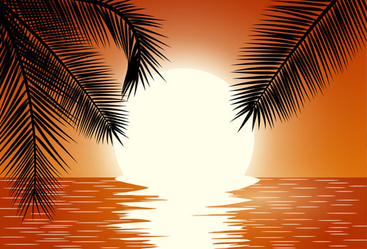 Sunset. Summer Sunset Landscape. vector