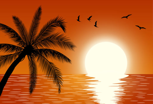 Sunset. Summer Sunset Landscape. vector