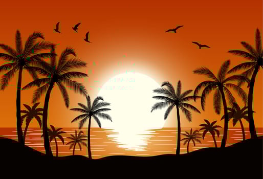 Silhouette palm tree on beach vector