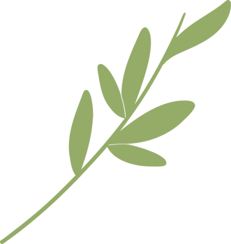 Bamboo green leaves decoration illustration png