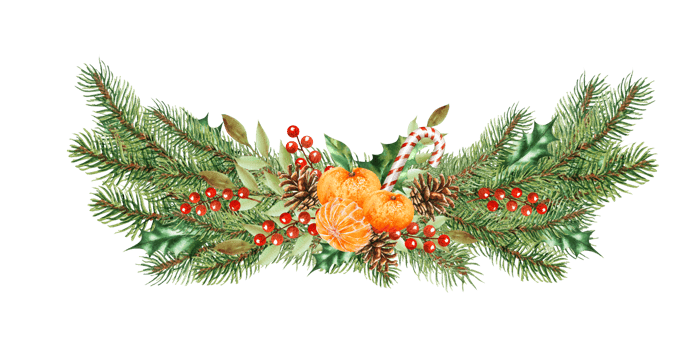 Watercolor Christmas bouquet of pine cone,holly,red berries,branches and leaves.Hand painted holiday composition of plants.Illustration for design,print,background. png