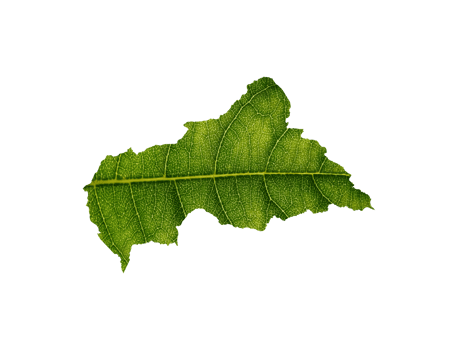 Central African map made of green leaves ecology concept png