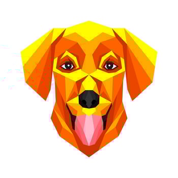 Polygonal style dog portrait vector