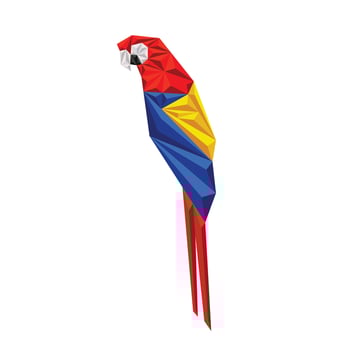Red macaw bird vector polygon style