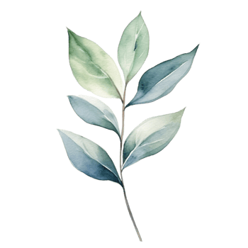 AI generated watercolor eucalyptus leaves on transparent background png