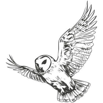 Hand drawn birds sketch. png