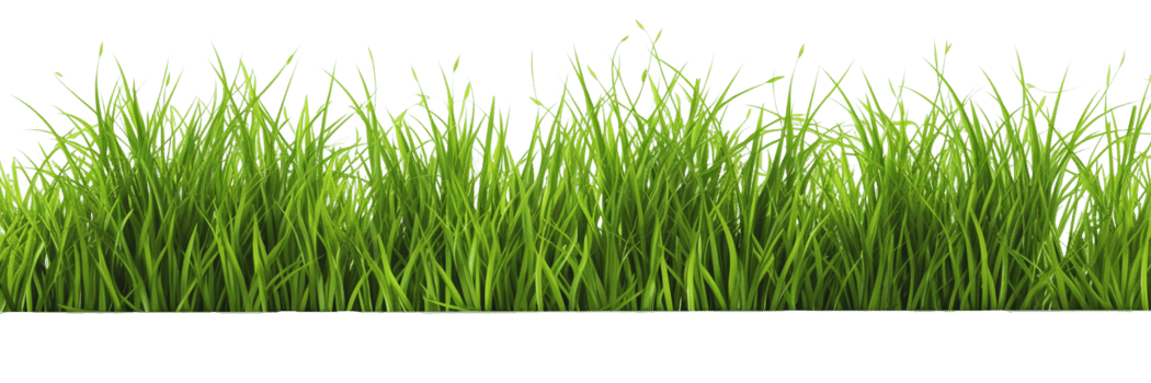 AI generated green grass on a transparent background png