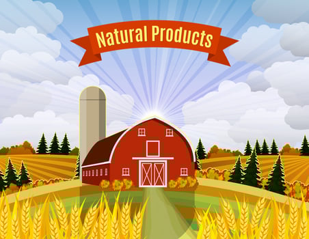 Cartoon beautiful fall farm scene vector