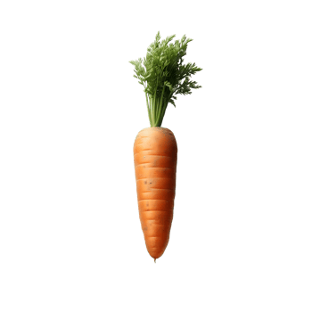 AI generated Isolated carrot Transparent Background, PNG Format, Generative AI