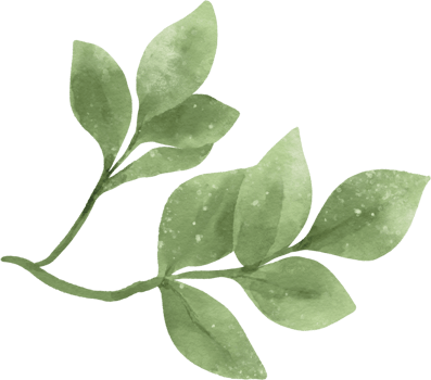 Watercolor greenery leaf illustration png