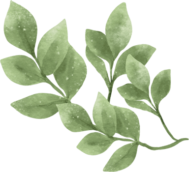 Watercolor greenery leaf illustration png