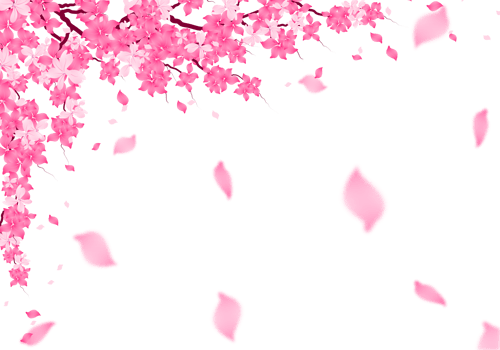 Sakura Frame Background. Cherry Blossom Border. png
