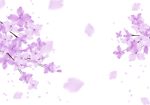 Purple Flowers Frame. Sakura bloom Background. Floral Branch Border. png
