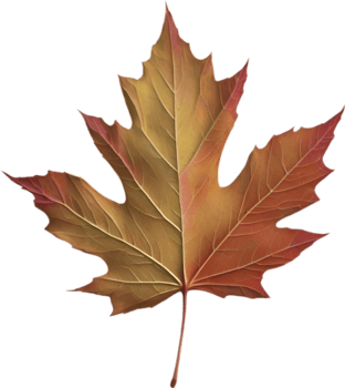 AI generated an image of a colorful maple leaf. Ai-Generated. png