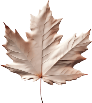 AI generated an image of a colorful maple leaf. Ai-Generated. png