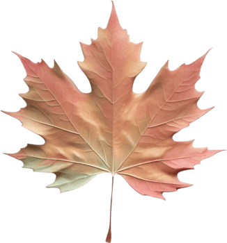 AI generated an image of a colorful maple leaf. Ai-Generated. png