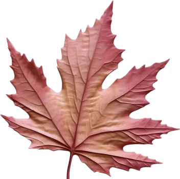 AI generated an image of a colorful maple leaf. Ai-Generated. png