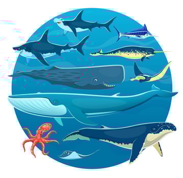 Cartoon sea animals, fish, whales, octopus, sharks vector