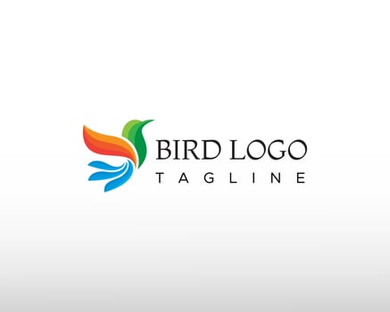 bird logo color bird logo creative bird logo fly bird logo vector