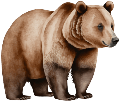 AI generated brown bear, illustration. png