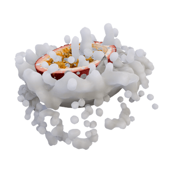 Realistic 3D render of passion Fruit best for commercial and Design purpose png