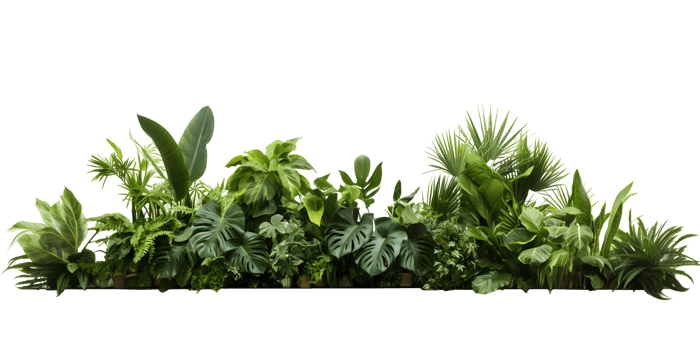 AI generated Green leaves and plants PNG