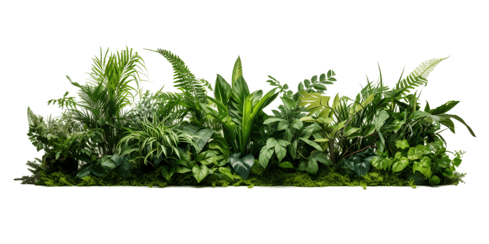 AI generated Green leaves and plants PNG