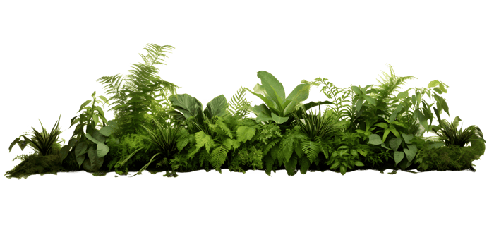 AI generated Green leaves and plants PNG