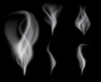 realistic smoke on black background vector