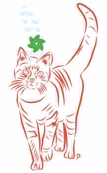 Cat pet simple sketch ilustration vector