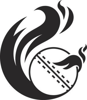 cricket fly fire ball icon png