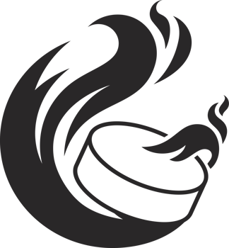 hockey fly fire ball icon png