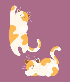 Cute cat vector icon art. simple cartoon doodle cat icon arts