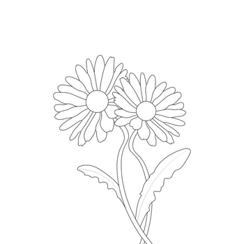 Daisy Flower Coloring Page line art Illustration vector