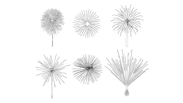 Fireworks. Colorful celebration fireworks isolated on a transparent background. From below, shot of wonderful and vivid fireworks exploding png