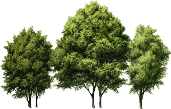 AI generated Trees natural png